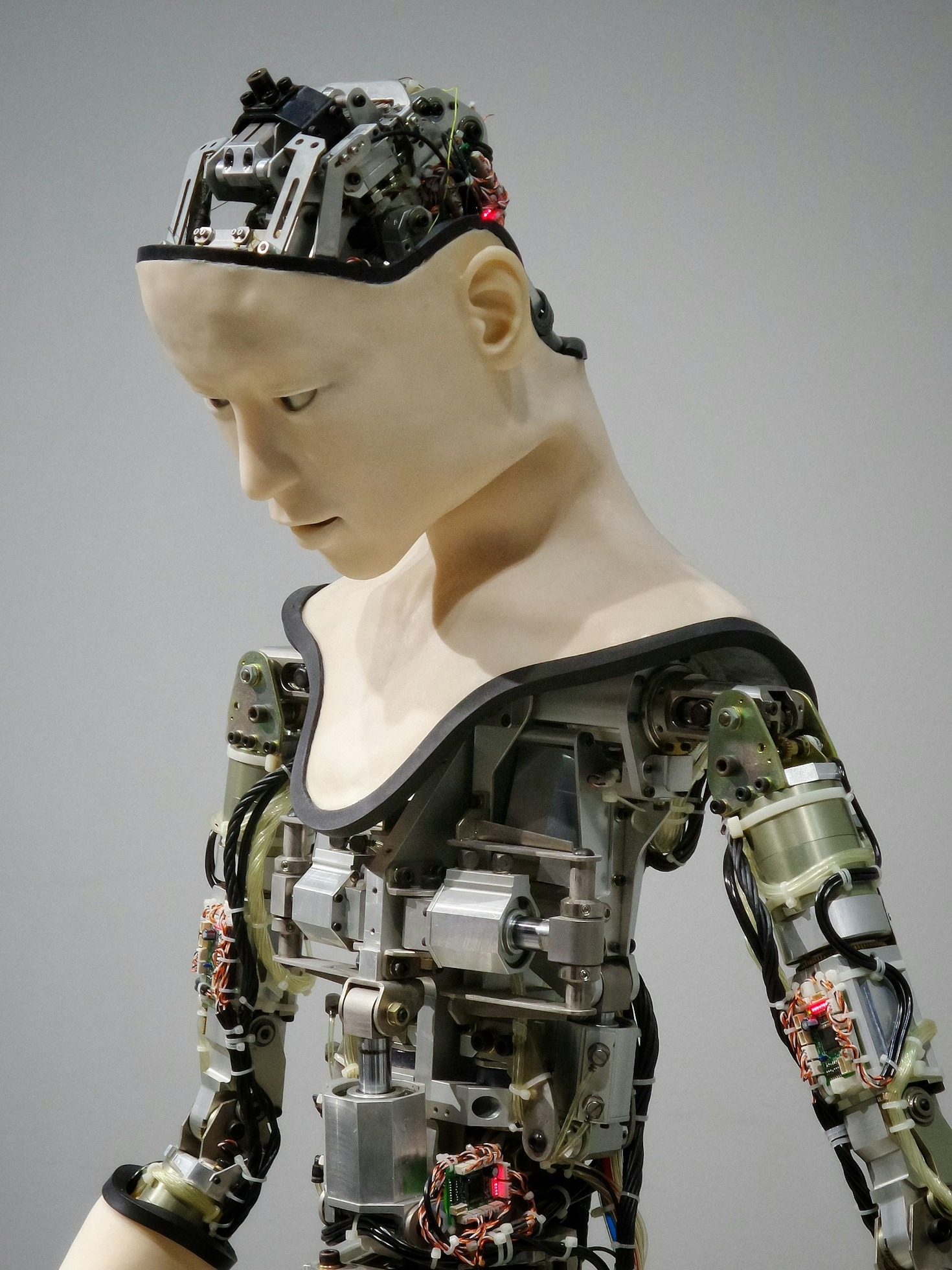 Age-Appropriate AI Learning Tools for Kids
